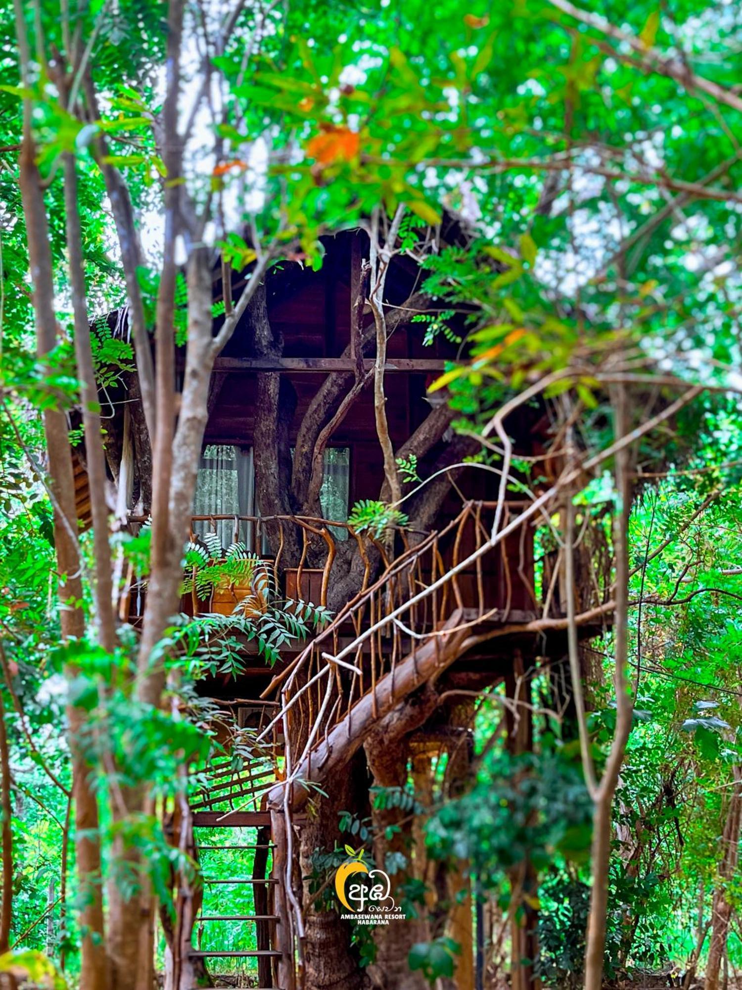 Habarana Tree House Ambasewana Resort Exteriör bild